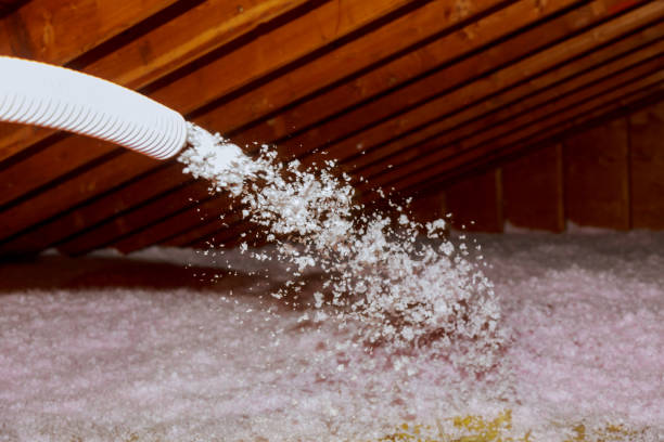 Best Insulation Maintenance and Repair in Cera, AL