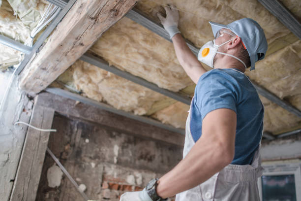 Best Residential Insulation in Cera, AL